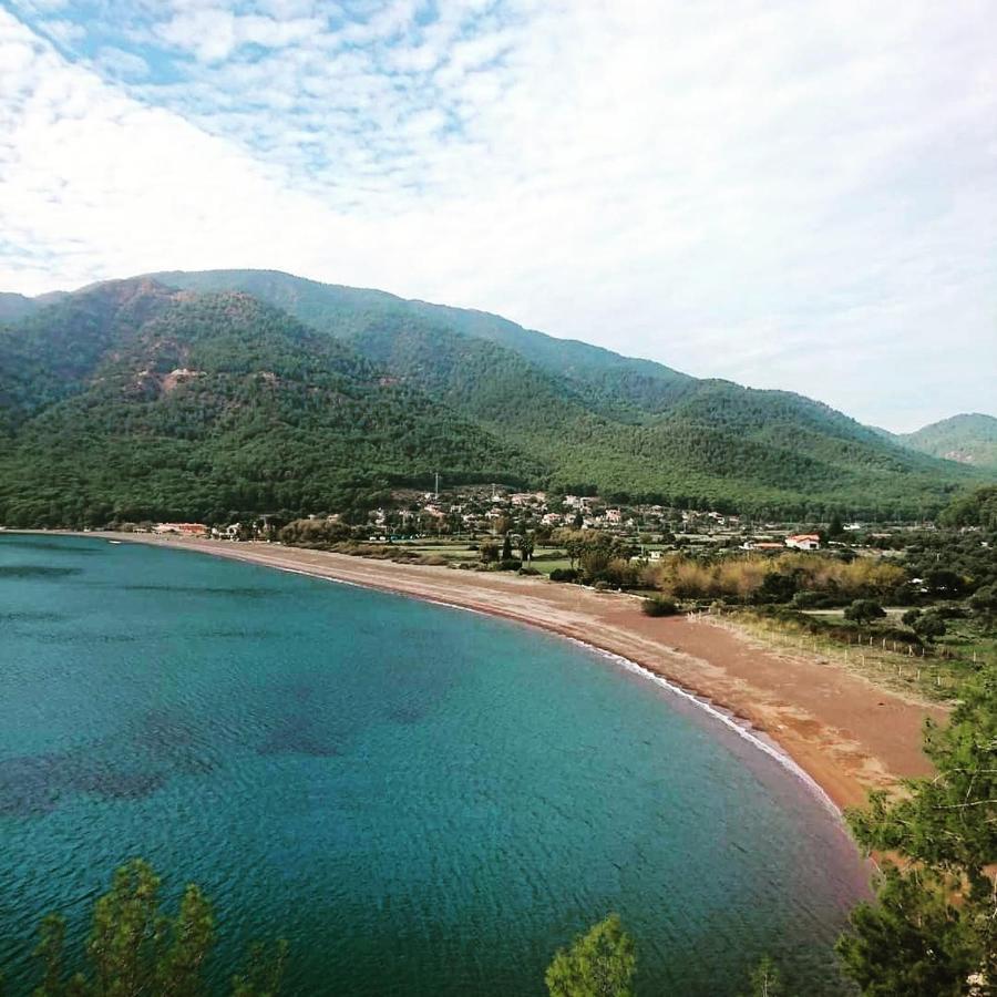 Olive Tree Apart Hotel Muğla Esterno foto