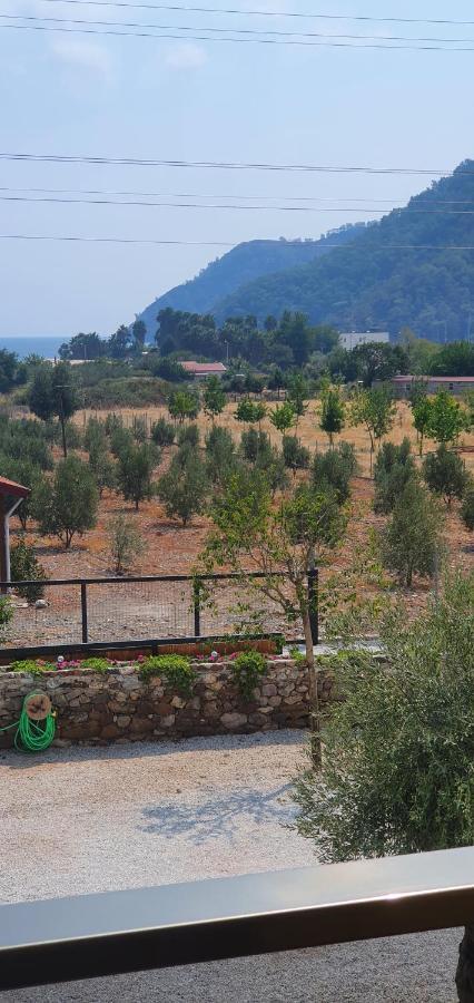 Olive Tree Apart Hotel Muğla Esterno foto