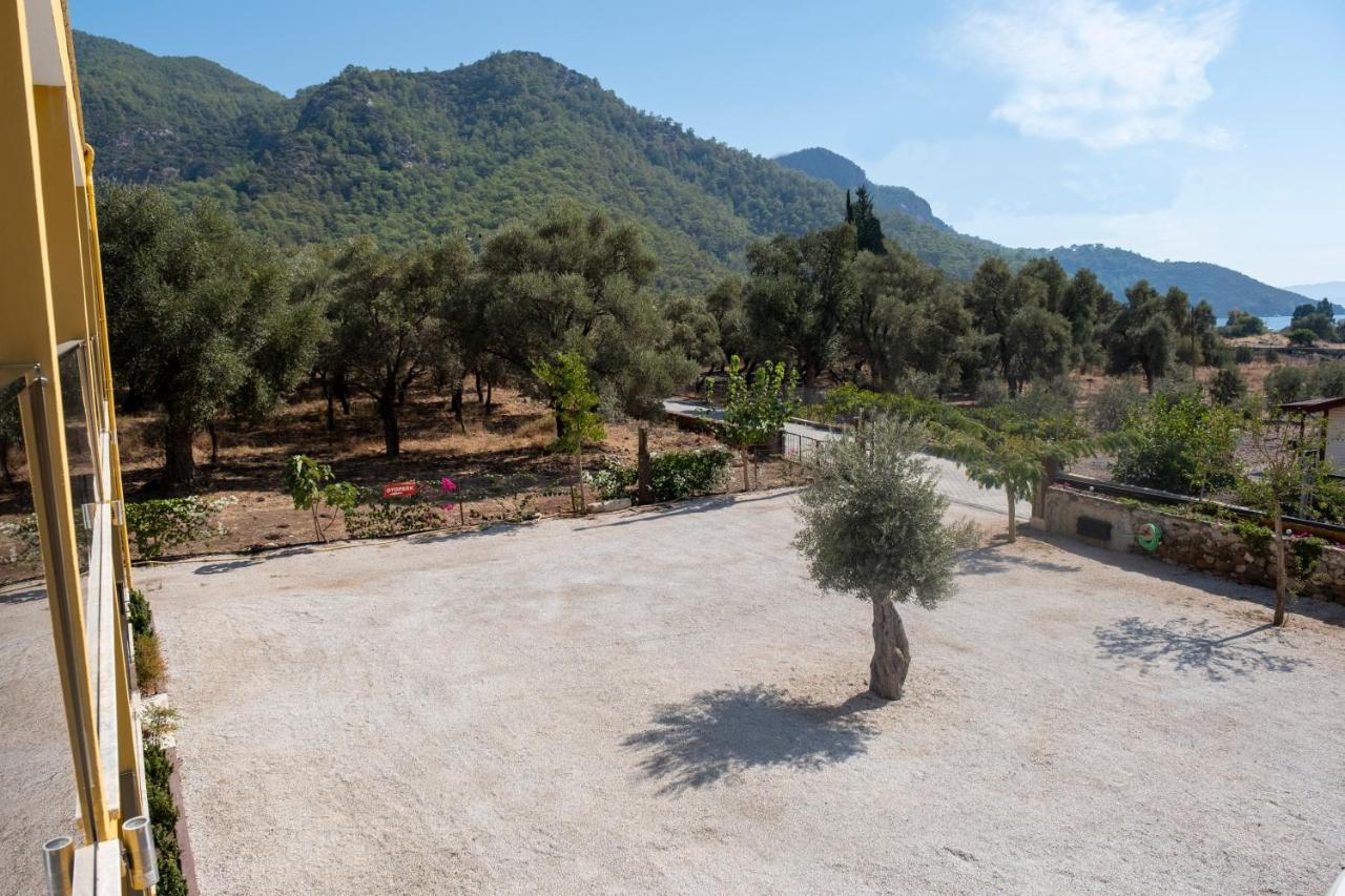 Olive Tree Apart Hotel Muğla Esterno foto